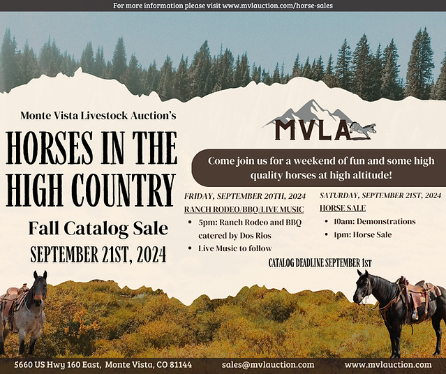 Horse Sales MVLAuction